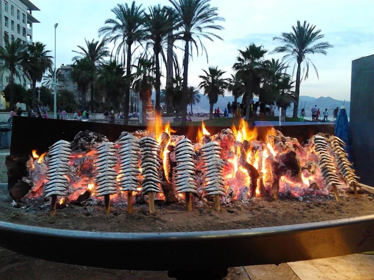 Luxury Loft Malaga Torremolinos Sol Apartment Spain